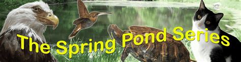 a sunny day at spring pond the spring pond series book 1 PDF